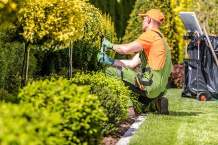 gartenbaufirma gartenbau galabau gartenarbeiten landschaftsbau fachbetrieb düsseldorf köln mettmann duisburg neuss möchengladbach gebäudedienste jovanovic-min